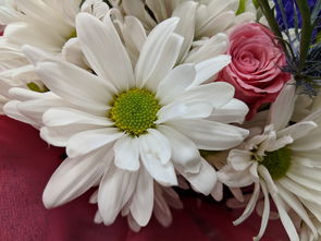 花語(yǔ)傳情 從自然之美到浪漫禮品的花卉銷(xiāo)售藝術(shù)