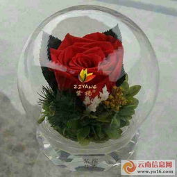 保鮮花與永生花 禮品花卉銷(xiāo)售的新趨勢(shì)與商機(jī)